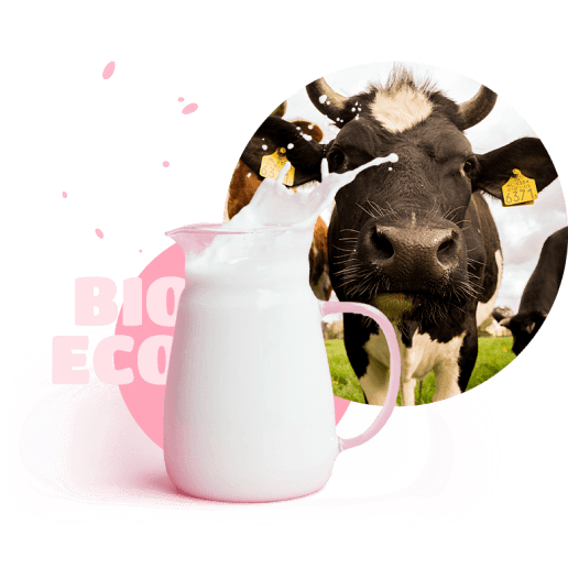 Cow with a jug of milk